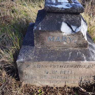 DELL Mary 1847-1892