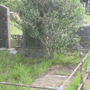 1. Overview of family plot