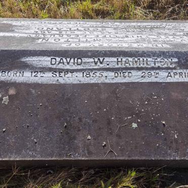HAMILTON David W. 1855-1890