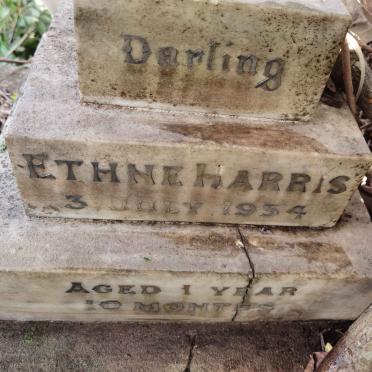 HARRIS Ethne -1934