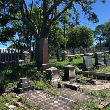 1. Overview HOLMES family plot