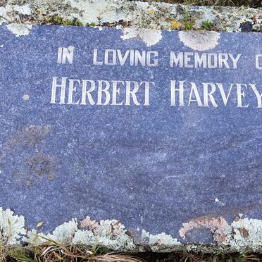 HARVEY Herbert
