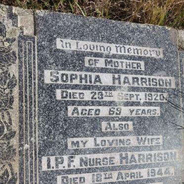 HARRISON Sophia -1920 :: HARRISON I.P.F. -1944