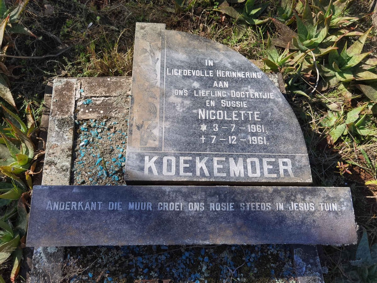 KOEKEMOER Nicolette 1961-1961