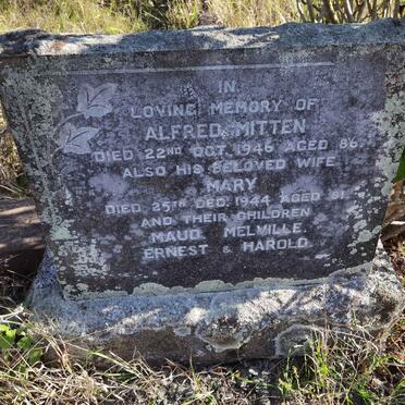 MITTEN Alfred -1946 &amp; Mary -1944 (see more names)