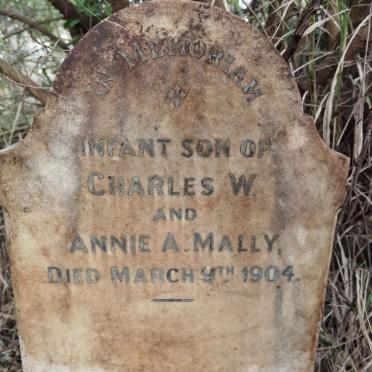 MALLY -1904
