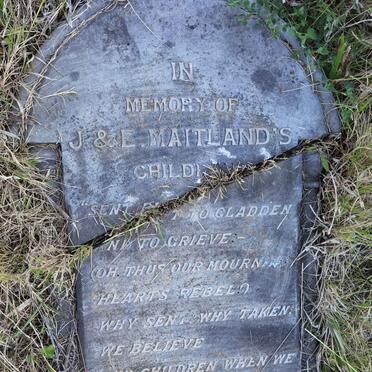 MAITLAND children