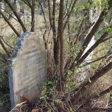 PEACHEY Anne Maria Louisa -1869
