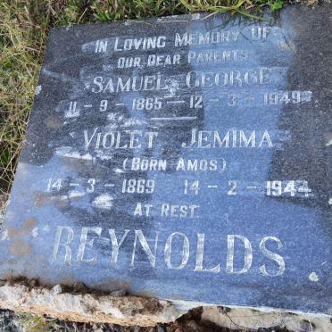 REYNOLDS Samuel George 1865-1949 &amp; Violet Jemima AMOS 1869-1944