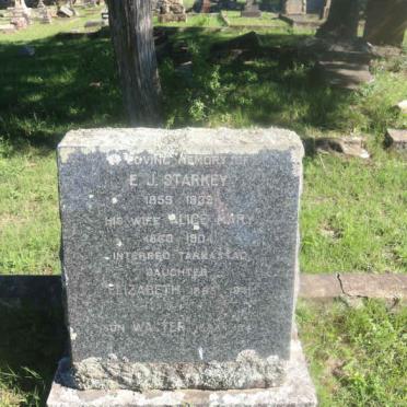 STARKEY E.J. 1858-1939 &amp; Alice Mary 1860-1904 :: STARKEY Walter 1888-1947 :: STARKEY Elizabeth 1885-1941