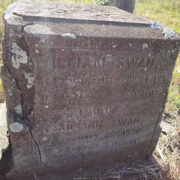 SWAN William -1893 :: SWAN Sarah Ann -1896