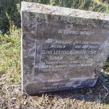 SHAW Gordon Leslie 1892-1957 &amp; Olive Lestella TOMLINSON 1894-1963 :: SHAW Ronald Coldstream 1923-1923
