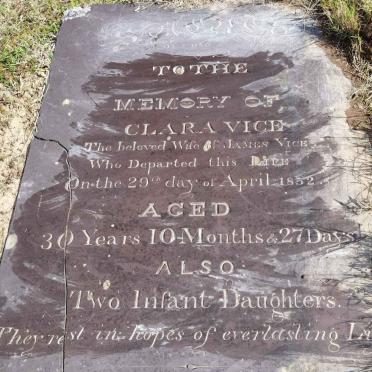 VICE Clara -1852