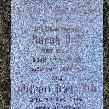 WILL William Hay -1946 &amp; Sarah ELLIS 1861-1937