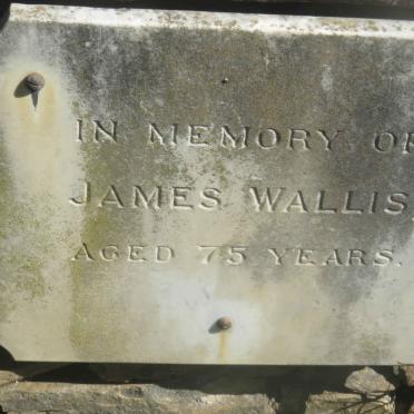 WALLIS James