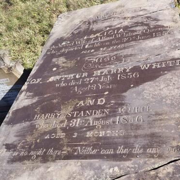 WHITE Alicia -1856 :: WHITE Arthur Harry -1856 :: WHITE Harry Standen -1856