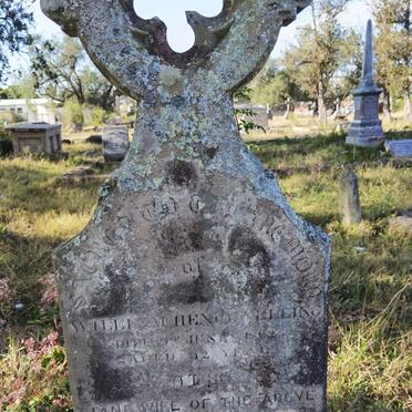 YELLING William Henry -1862 &amp; Jane -1864