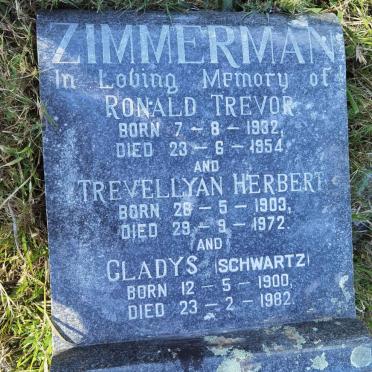 ZIMMERMAN Gladys nee SCHWARTZ 1900-1982 :: ZIMMERMAN Trevellyan Herbert 1903-1972 :: ZIMMERMAN Ronald Trevor 1932-1954