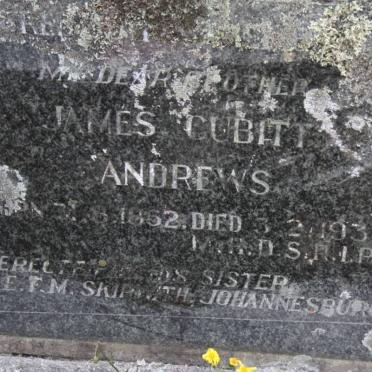 ANDREWS James Cubitt 1862-1938