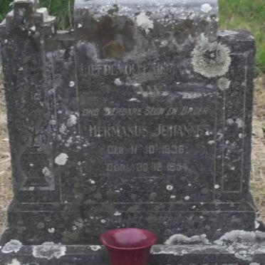 BEZUIDENHOUT Hermanus Johannes 1936-1954