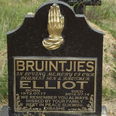 BRUINTJIES Elliot 1972-2012