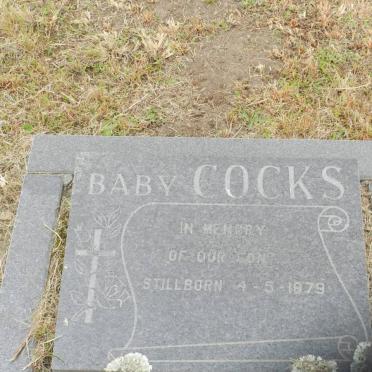 COCKS ? -1979