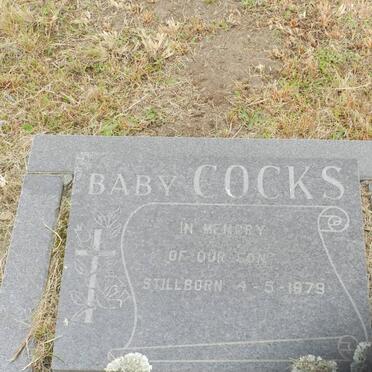 COCKS ? -1979
