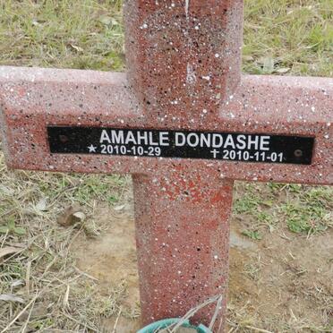 DONDASHE Amahle 2010-2010