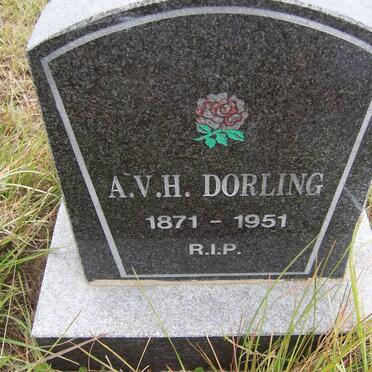 DORLING A.V.H. 1871-1951
