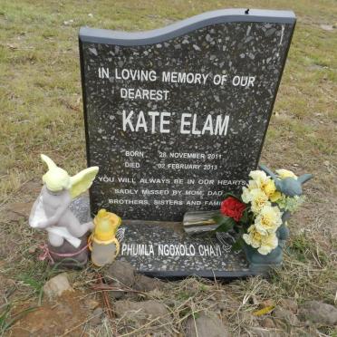 ELAM Kate 2011-2013