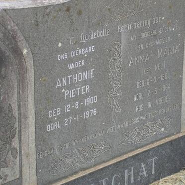 FITCHAT Anthonie Pieter 1900-1976 &amp; Anna Maria NEL 1901-1964