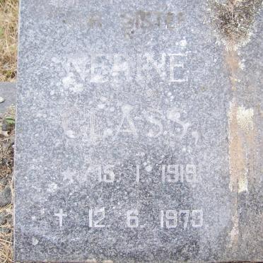 GLASS Nerine 1919-1973