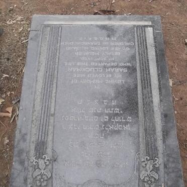 GLUCKMAN Sarah -1950