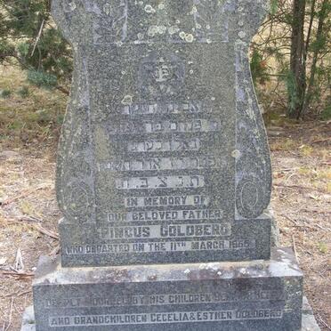 GOLDBERG Pincus -1955