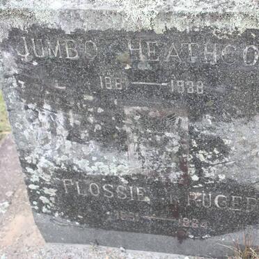 HEATHCOTE Jumbo 1881-1938 :: KRUGER Flossie 1891-1964
