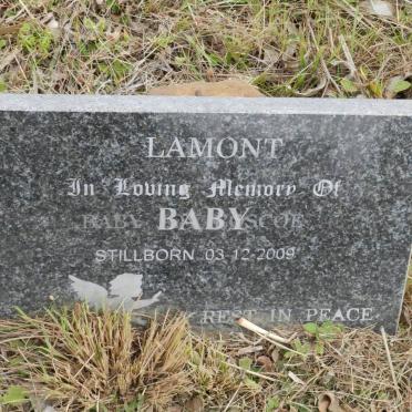 LAMONT Baby -2009