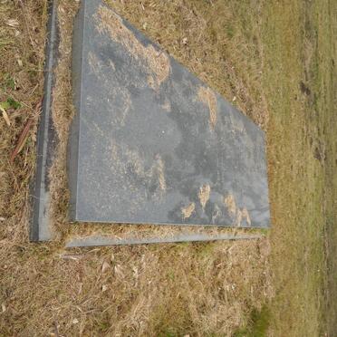 LEVY David -1963 &amp; Mabel Rose 1895-1978