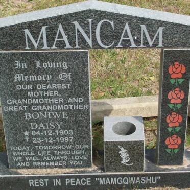 MANCAM Boniwe Daisy 1903-1997