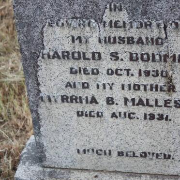 MALLESON Myrrha B. -1931 :: BODMER Harold S. -1930