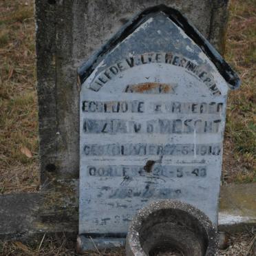 MESCHT Nezia, v.d. nee 1910-1943