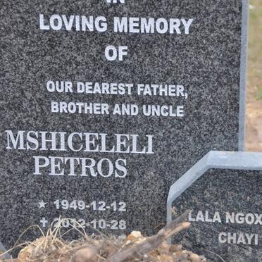 MSHICHELELI Petros 1949-2012