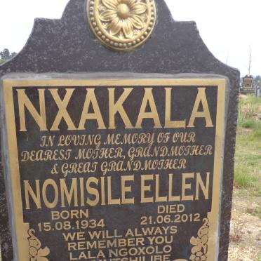 Nx - Surnames starting with the letters Nx