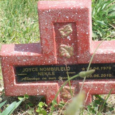 NEKILE Joyce Nombulelo 1970-2010