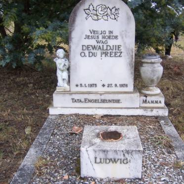 PREEZ Dewaldjie O., du 1975-1976