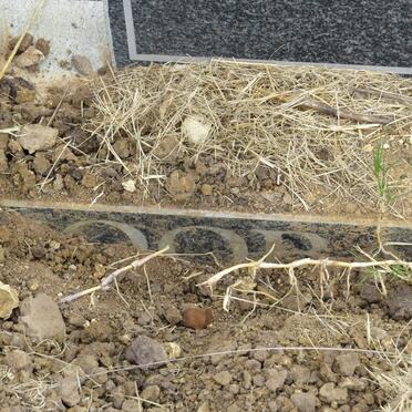 QOBE Lindiwe Primrose 1969-2012