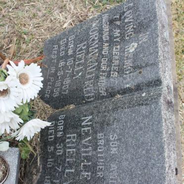 RIELLY Norman Alfred 1907-1958 :: RIELLY Neville W. 1941-1984