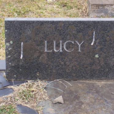 SHAW GRAVE