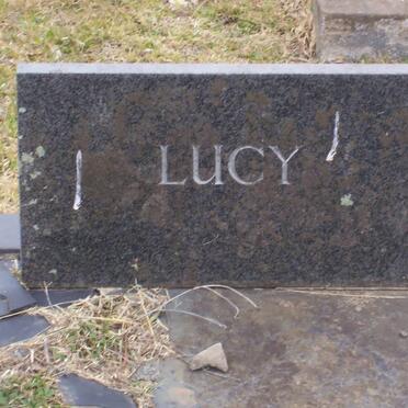 SHAW GRAVE