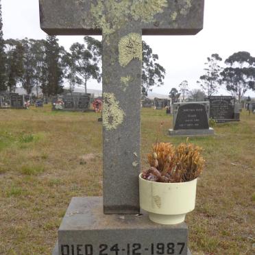 SMAILES N.L. -1987