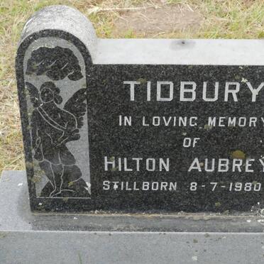TIDBURY Hilton Aubrey -1980